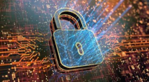 What Is a Blockchain Bug Bounty?
